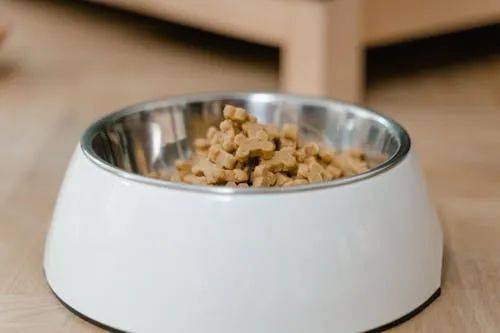%！国产宠物食品迎来 黄金逆袭期开元棋牌进口粮成本暴涨 150(图4)