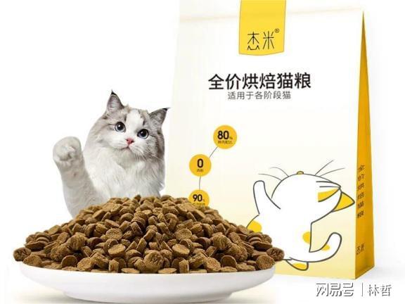 粮？宠物猫粮品牌排行榜前十名分享开元棋牌网站新手怎么选择合适的猫(图10)